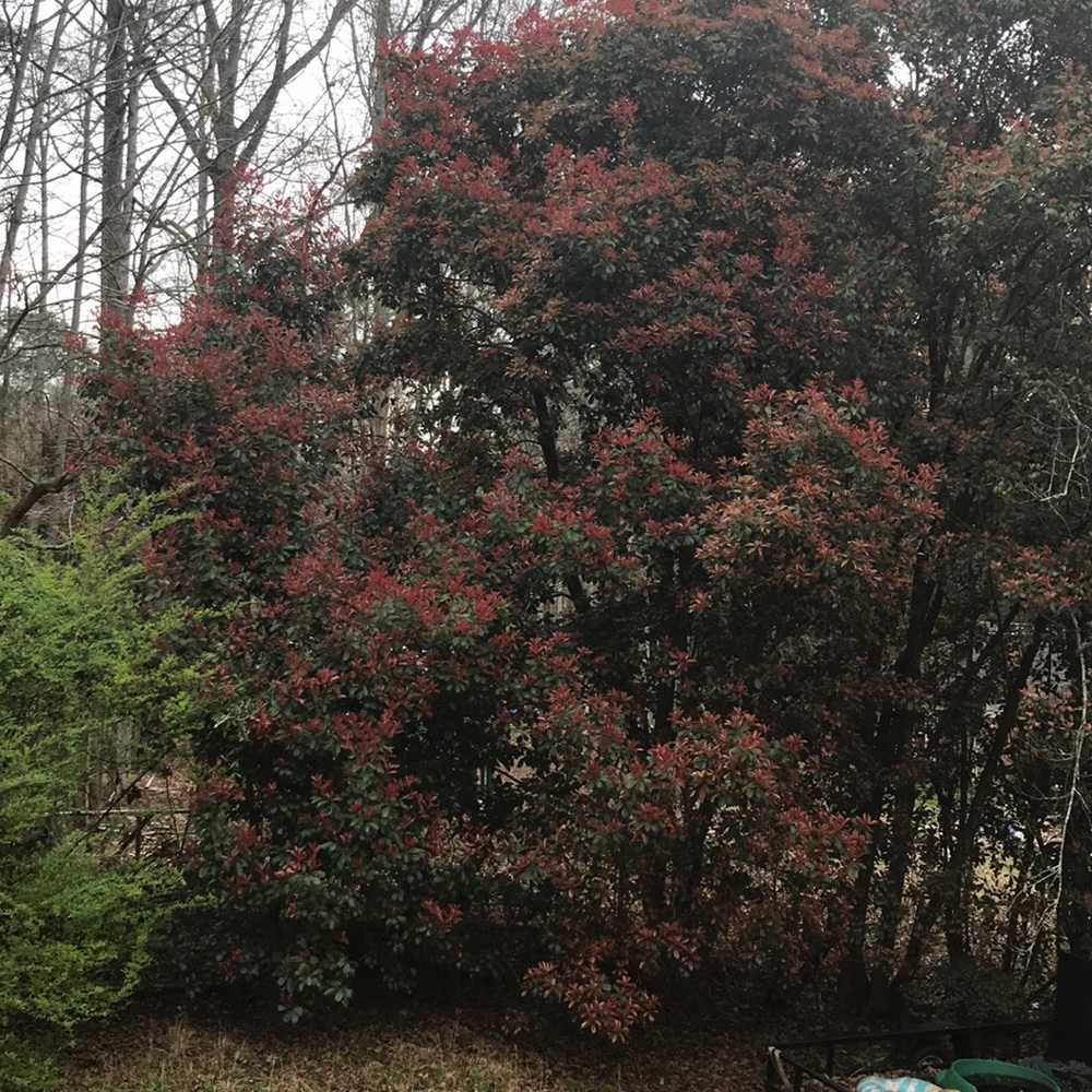 Meet your Posher, Monyatta